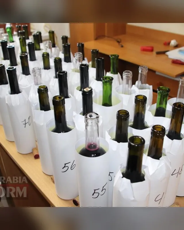 Bolgrad Wine Fest 2026