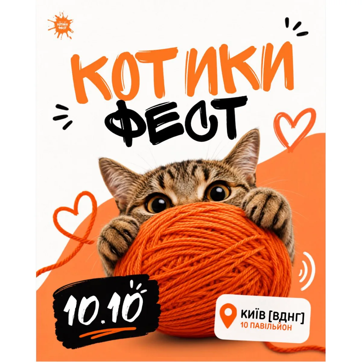 Афіша: КОТИКИ ФЕСТ